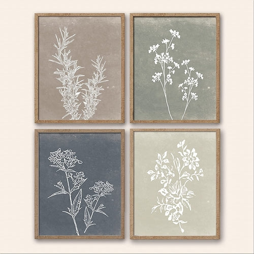 Set 4 Quadri Botanici con Cornici in Noce – Arte Botanica per Soggiorno e Camera